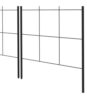 Metal Trellis Set of 2 Black Steel 50W x 180Hcm Climbing Plants Decoration