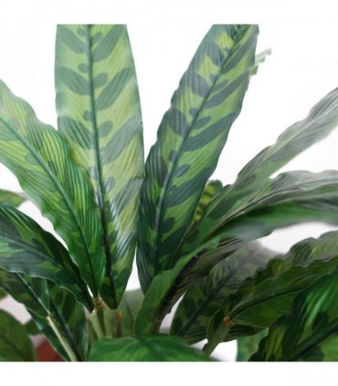 Artificial Calathea Plant 60cm x 60cm Variegated Green Bushy Leaves