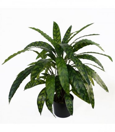Artificial Calathea Plant 60cm x 60cm Variegated Green Bushy Leaves