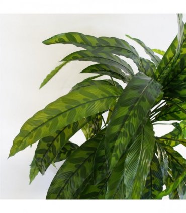 Artificial Calathea Plant 60cm x 60cm Variegated Green Bushy Leaves