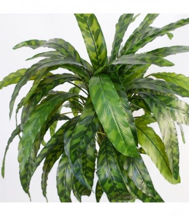 Artificial Calathea Plant Variegated Green 90cm x 70cm Plastic Weighted Base Pot