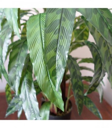 Artificial Calathea Plant Variegated Green 90cm x 70cm Plastic Weighted Base Pot