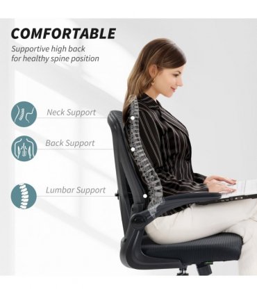 Mesh Office Chair Computer Chair with Lumbar Support, Swivel Wheels, Black