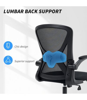 Mesh Office Chair Computer Chair with Lumbar Support, Swivel Wheels, Black