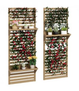 Plant Stand Natural Fir Wood 2-Piece Set with Shelves and Trellis 60x18x170cm