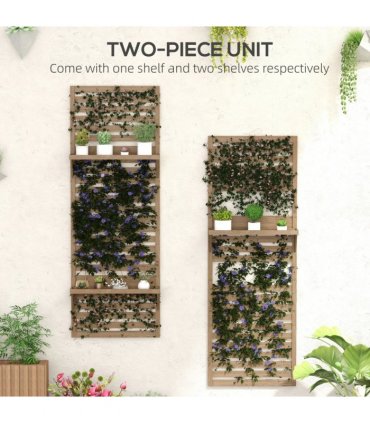 Plant Stand Natural Fir Wood 2-Piece Set with Shelves and Trellis 60x18x170cm