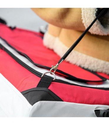 PawHut Foldable Pet Stroller w/ Detachable Carrier, Soft Padding - Red