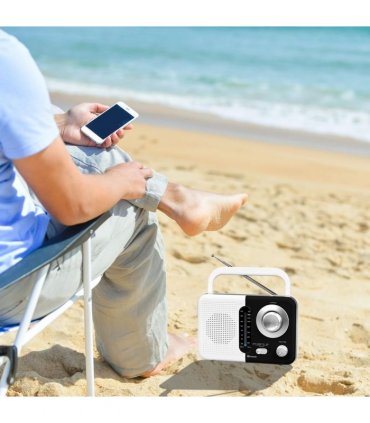 Soundz SZ412 AM/FM Bluetooth Radio with USB Port And SD Card Slot, Black/White