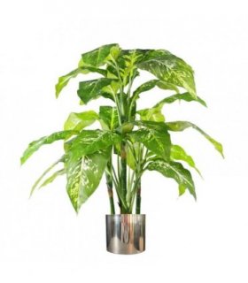 100cm Large Fox's Aglaonema (Spotted Evergreen) Tree Artificial Plant with Silver Metal Planter