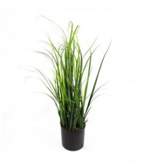 60cm Artificial Lemongrass Grass Plant
