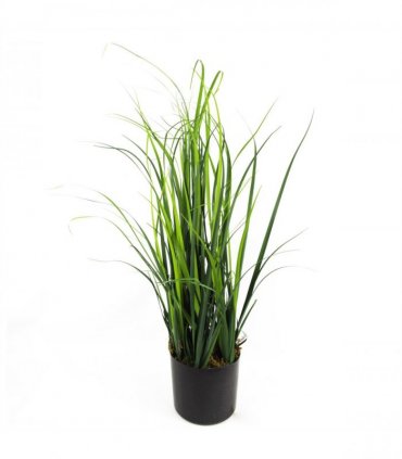 60cm Artificial Lemongrass Grass Plant