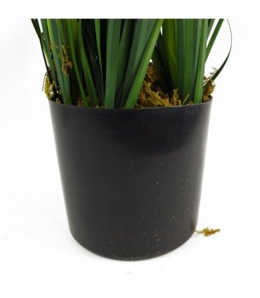 60cm Artificial Lemongrass Grass Plant