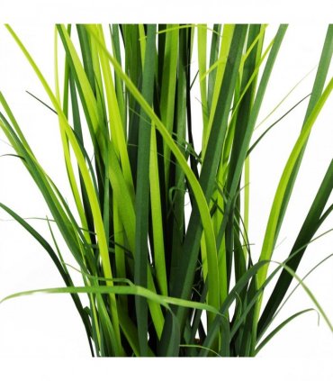 60cm Artificial Lemongrass Grass Plant