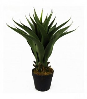 55cm Artificial Tropical Yucca Plant