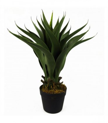 55cm Artificial Tropical Yucca Plant