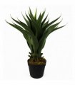 55cm Artificial Tropical Yucca Plant