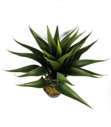 55cm Artificial Tropical Yucca Plant