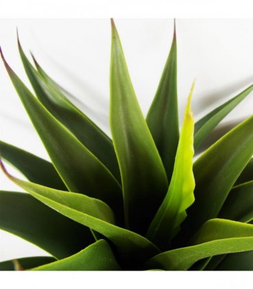 55cm Artificial Tropical Yucca Plant