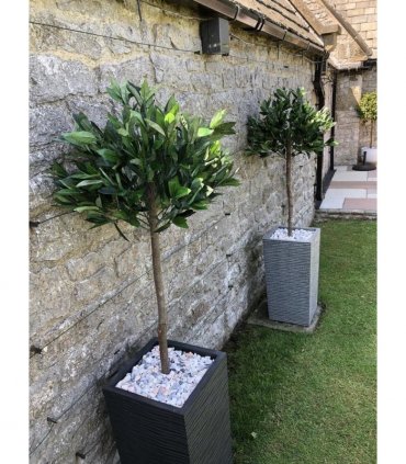 Pair of 120cm (4ft) Plain Stem Artificial Topiary Bay Laurel Ball Trees