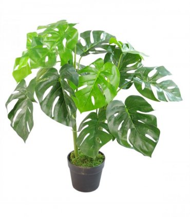 Artificial Monstera Plant - 80cm Monstera