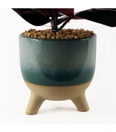 35cm Artificial Ficus Plant with Teal Blue Green Ceramic Planter