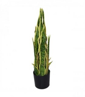 55cm Artificial Sansevieria Yellow Green Indoor Plant