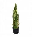 55cm Artificial Sansevieria Yellow Green Indoor Plant