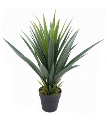 60cm Artificial Tropical Agave Succulent Yukka Style Green Plant