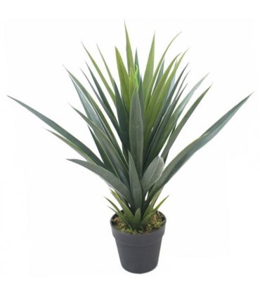 60cm Artificial Tropical Agave Succulent Yukka Style Green Plant
