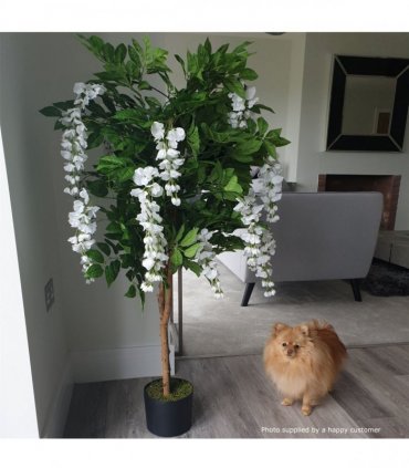 130cm Luxury Artificial Wisteria Tree White Flowers - Premium Range