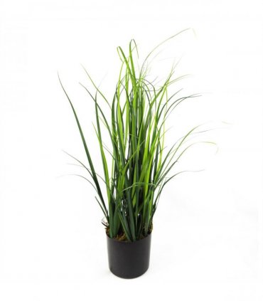 60cm Artificial Natural Lemongrass Grass Plant