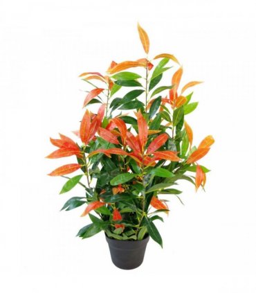 80cm Leaf Realistic Red Robin Artificial Ficus Tree / Plant