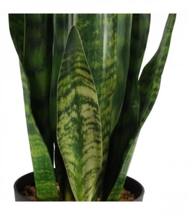 70cm Artificial Sansevieria Zeylanica Plant