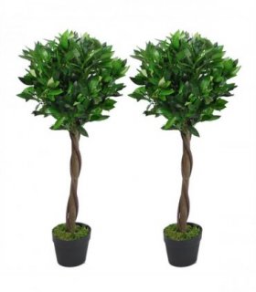 Pair of 90cm (3ft) Twisted Stem Artificial Topiary Bay Laurel Ball Trees
