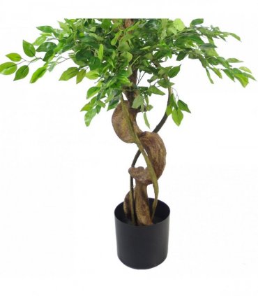 150cm Twisted Trunk Artificial Japanese Fruticosa Ficus Tree Black Planter