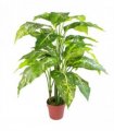 100cm Large Fox's Aglaonema (Spotted Evergreen) Tree Artificial Plant