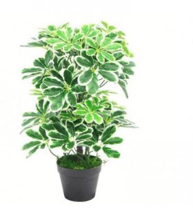55cm Variegated Artificial Schefflera Arboricola Plant