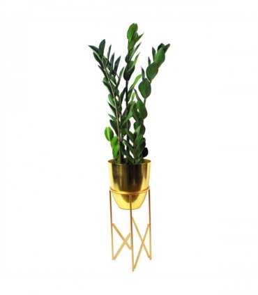 75cm Artificial Zanzibar Green Gem Zamioculcas Succulent Indoor Plant