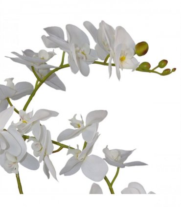 65cm Artificial Luxury Artificial Orchid - 3 Stems - Soft White Plant