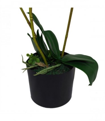 65cm Artificial Luxury Artificial Orchid - 3 Stems - Soft White Plant