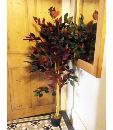 120cm (4ft) Artificial Dark Red Green Ficus Plant - Extra Large