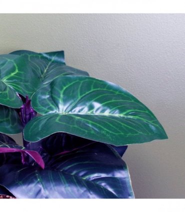 35cm Artificial Ficus Plant Potted in Teal Blue Green Ceramic Planter