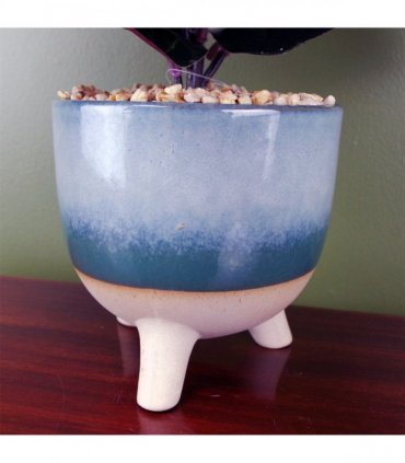 35cm Artificial Ficus Plant Potted in Teal Blue Green Ceramic Planter