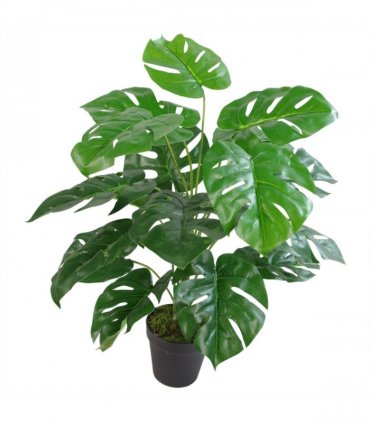 60cm Artificial Monstera Plant with Golden Metal Planter Included