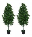 Pair of 120cm (4ft) Artificial Topiary Bay Trees Pyramid Cones - Extra Large