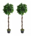 Pair of 120cm (4ft) Twisted Stem Artificial Topiary Bay Laurel Ball Trees