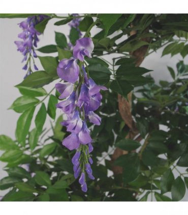 110cm Artificial Purple Wisteria Tree with Copper Metal Planter