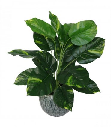 60cm Artificial Devil's Ivy (Scindapsus Aureus) Plant