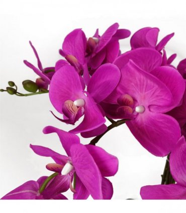 85cm Artificial Deluxe Bush Orchid - Dark Pink