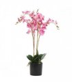 60cm Artificial Luxury Orchid - Triple Stem - Pink Realistic Plant
